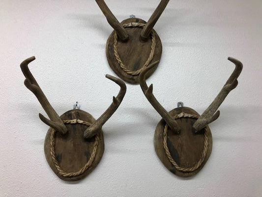 Carved Wood Antlers
