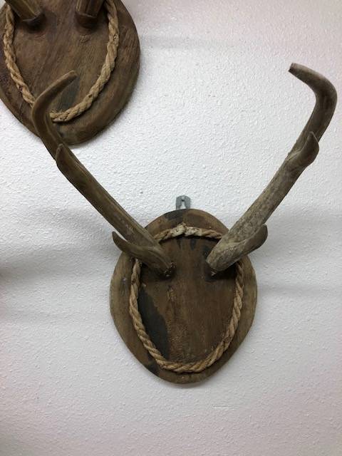 Carved Wood Antlers