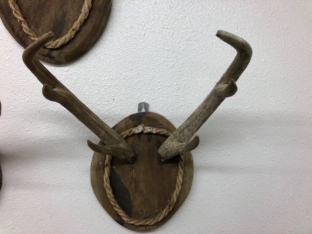 Carved Wood Antlers