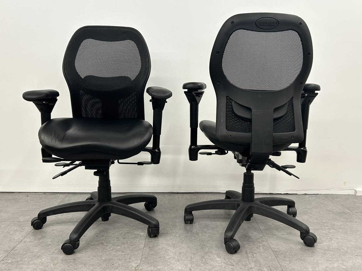 BodyBilt Desk Chair