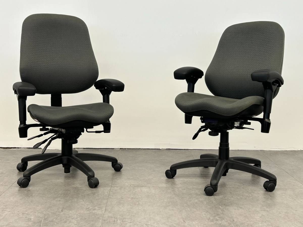 BodyBilt Desk Chair