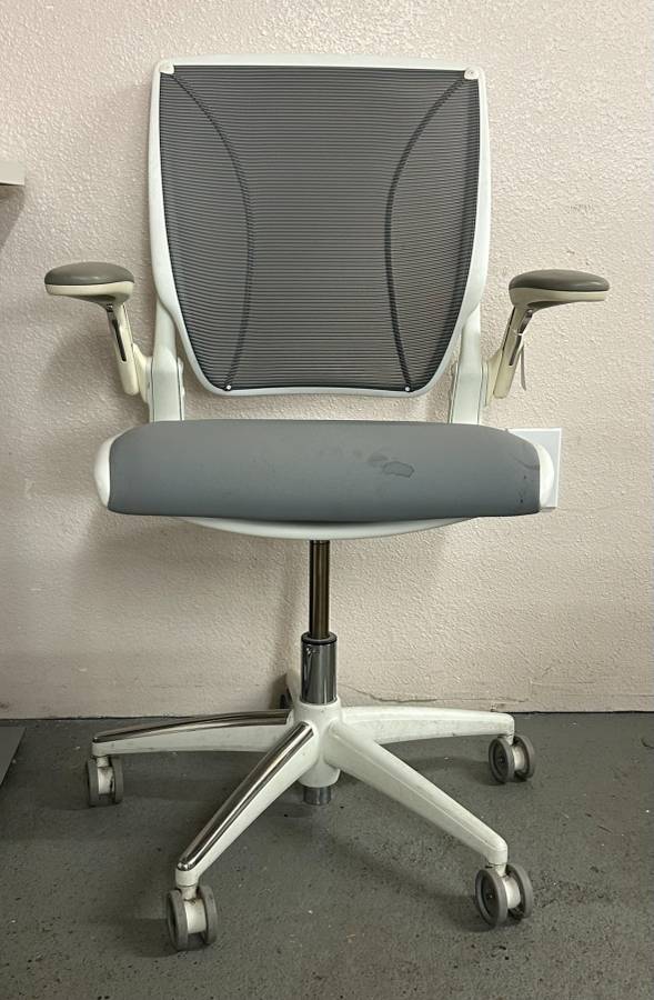 Human Scale Diffrient World Chair