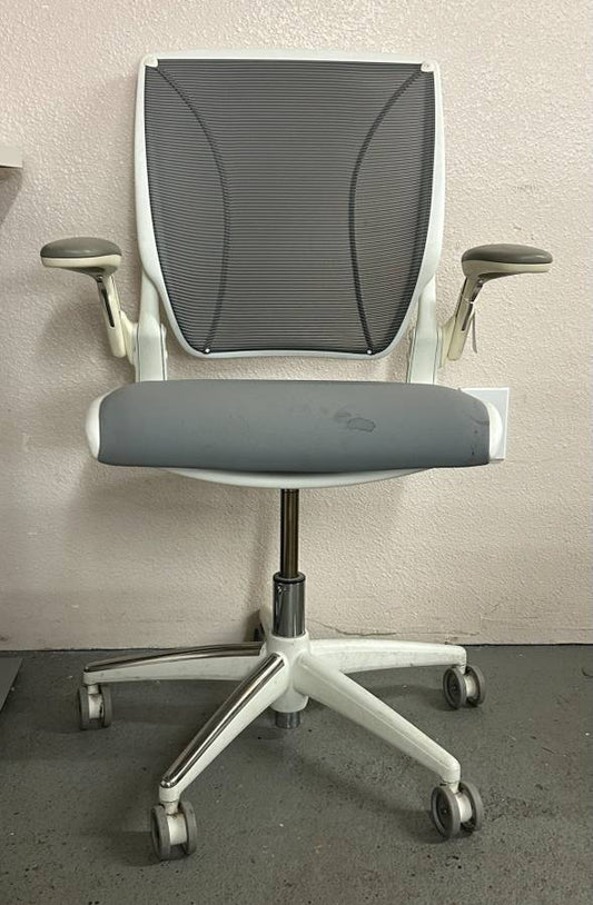 Human Scale Diffrient World Chair