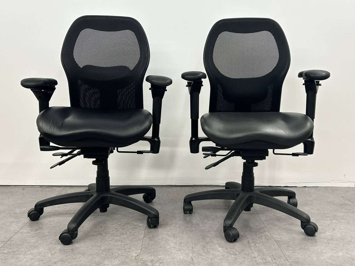 BodyBilt Desk Chair